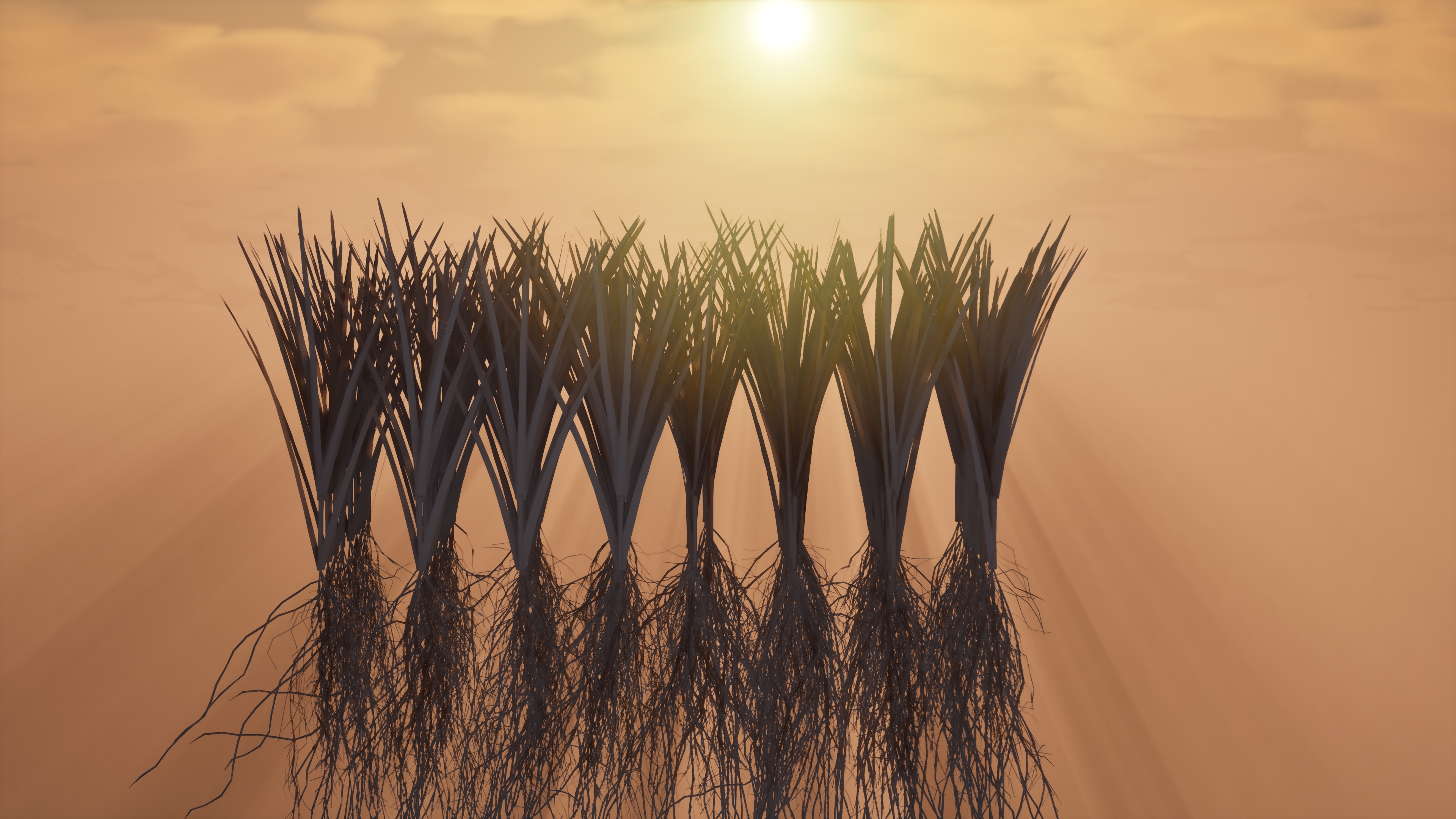 Ansicht (aus dem Video) der Modellszene